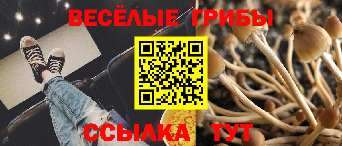 Галлюциногенные грибы GOLDEN TEACHER  Вход с VPN  Лениногорск  Псилоцибиновые грибы ЛСД 